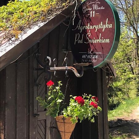 Agroturystyka Pod Swierkiem Srebrna Góra Esterno foto