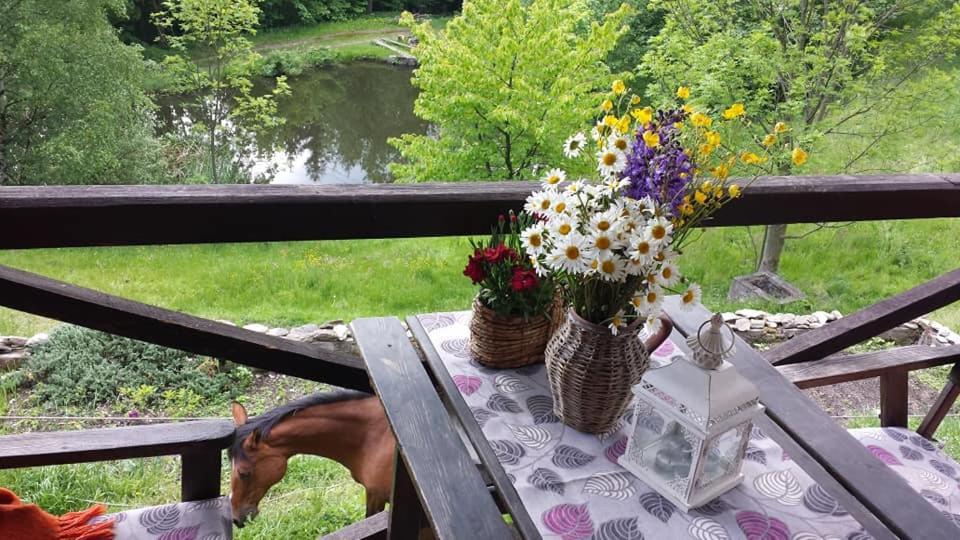 Agroturystyka Pod Swierkiem Srebrna Góra Esterno foto