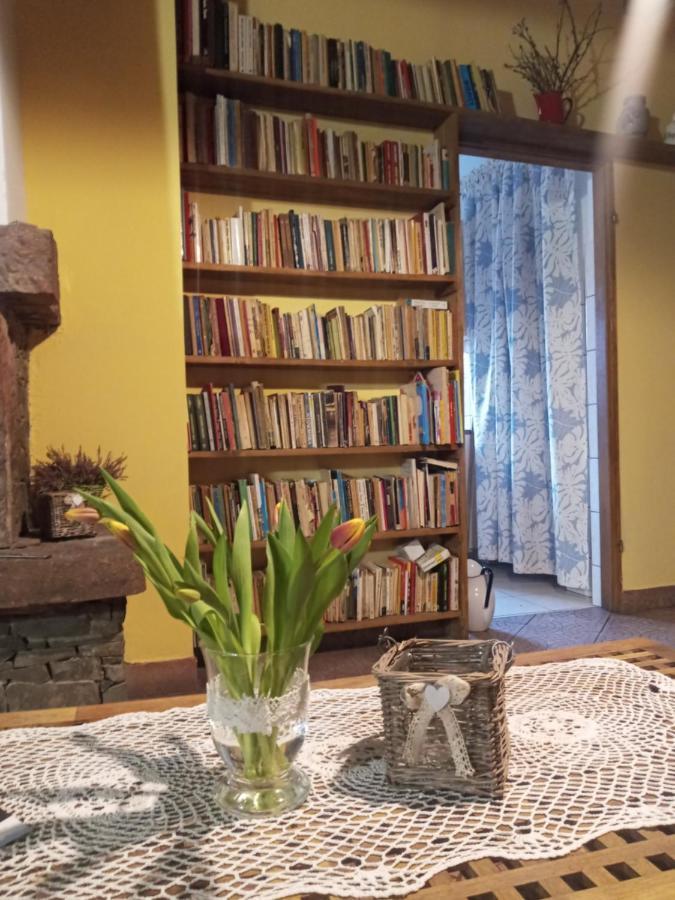 Agroturystyka Pod Swierkiem Srebrna Góra Esterno foto